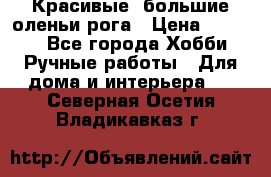 Красивые  большие оленьи рога › Цена ­ 3 000 - Все города Хобби. Ручные работы » Для дома и интерьера   . Северная Осетия,Владикавказ г.
